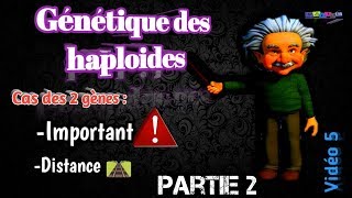 Vidéo 5 Génétique des haploïdes en arabe SVI S4Partie 2 [upl. by Blandina478]