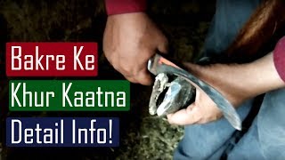 Khur Kaatna  Hoof Cutting Detail information [upl. by Aura902]