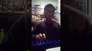 Toxicity  SOAD Melodica cover short soad toxicity melodicacover systemofadown [upl. by Lleral]