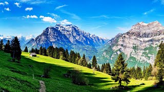 The Majestic Natural Landscapes Of Switzerland  Wild Faces Of Switzerland Marathon [upl. by Aerdnahc]