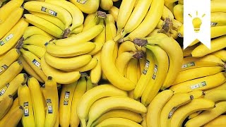 Body banane wale top 5 foods  Healthyzone  Kya khaye ki body ban jaye  Bodybuilding foods [upl. by Trepur903]