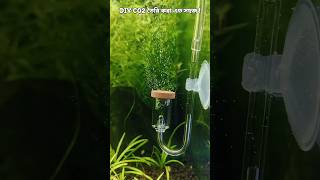 diy co2 for planted aquarium [upl. by Netfa295]