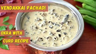 Vendakkai Pachadi Recipe  Vendakkai Pachadi with curd  Ladies Finger Recipe [upl. by Affay632]