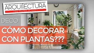 ¿COMO DECORAR CON PLANTAS DE INTERIORES  DECO  AMBIENTACIÓN [upl. by Coppock]