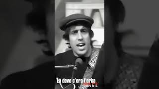 1966  Il ragazzo della via Gluck  Adriano Celentano [upl. by Tound]