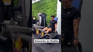 Extensión de Rodilla Máquina [upl. by Duj]