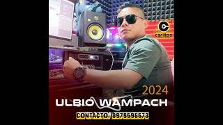 QUE CASUALIDAD  Ulbio Wampach  Audio Oficial  2024 [upl. by Kutzenco]