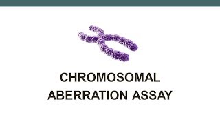 Chromosomal Aberration assay [upl. by Reiser]