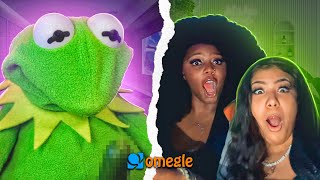 Ladies love Kermie on Omegle [upl. by Scever]