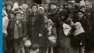 The Auschwitz Album Visual Evidence of the Process Leading to the Mass Murder at AuschwitzBirkenau [upl. by Sanfo]