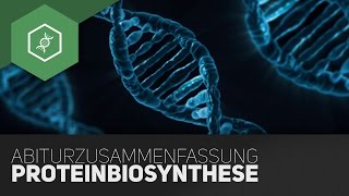 Proteinbiosynthese  Komplette Zusammenfassung fürs BioAbi [upl. by Odlavso]