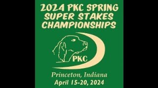 2024 PKC Spring Super Stakes Championship Tuesday [upl. by Kellda699]