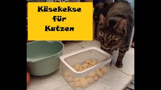 Selbstgemachte Käsekekse für Katzen brigittebaresfg3lv [upl. by Nirred]