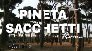 Pineta Sacchetti Roma  DJI Mini 2 [upl. by Bridwell]