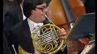 Tchaikovskys 5th Symphony Horn Solo [upl. by Yeh592]