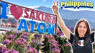 ATOK BENGUET TOURIST SPOT [upl. by Okomot]