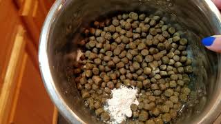 How to feed your dog that has EPI Exocrine Pancreatic Insufficiency [upl. by Yardna]