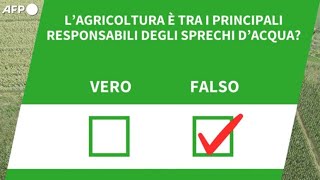 Ansa VERIFIED  Lagricoltura e tra i principali responsabili degli sprechi dacqua [upl. by Tanaka132]