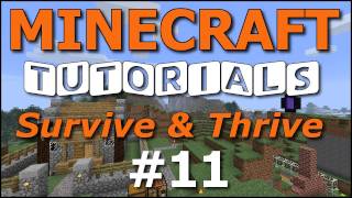 Minecraft Tutorials  E11 Cozy Cottage  Part 1 Survive and Thrive II [upl. by Lak186]