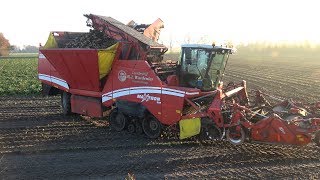 Suikerbieten rooien bij Nijboer met Grimme Maxtron 620 en 2 New Holland trekkers 2019 [upl. by Kere]