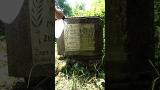 clean cleaning gravestone graveyard grave cemetery asmrvideo asmr headstone stone [upl. by Ahsinot]