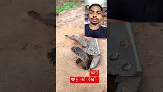 Amazing DIY Easy Snake Trap using pressure curved ppliers versatile reel Got millions of short [upl. by Lleruj]