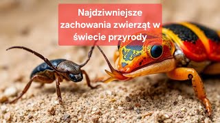 Najdziwniejsze zachowania zwierząt w świecie przyrody [upl. by Iluj]