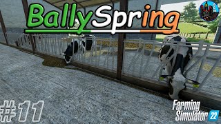 CLOVER FEILDS  Ballyspring Episode 11 [upl. by Chandler]