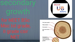 secondary growth and periderm [upl. by Lecia]