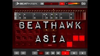 BEATHAWK The ASIA Sound Pack Demo for iPad with Silly Bits [upl. by Kcaj]