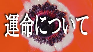 【朗読】【小説】【オーディオブック】【女性朗読】大人のための耳で聞く小説「運命について」尾崎士郎 [upl. by Amarillas]