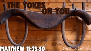 quotThe Yokes on Youquot [upl. by Stefanie]