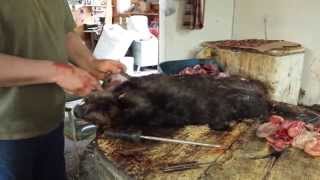 Skinning a beaver in 3 minutes flat [upl. by Millburn]