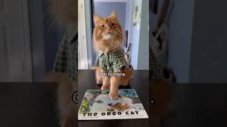 10 OFF our 2025 calendar until tomorrow Code BOOKMAKER10 🧡 Link in description catsofshorts [upl. by Ynohtnakram833]