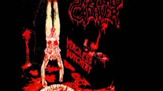 Splattered Cadaver  Merciless Butchery 2001 Full Album United Guttural Records [upl. by Aisanat]