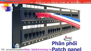 Patch panel amp patch panel cat6 patch panel cat5 chính hãng [upl. by Celin]