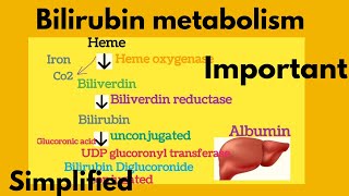 Bilirubin metabolism SimplifiedHeme catabolismFormation of Bile pigmentIn KannadaDMLTBMLT [upl. by Nivat]