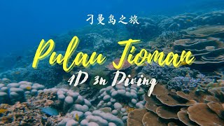 Pulau Tioman 4D3N  刁曼島 4D3N 之旅  Fun Dive With Friends [upl. by Aliahs]