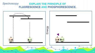 Explain the principle of Fluorescence and Phosphorescence  Analytical Chemistry [upl. by Risser449]