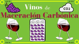 Vinos de MACERACIÓN CARBÓNICA 🍇 Elaboración tipos y zonas [upl. by Girvin]