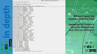 Retrieve corrupt databases using IBExperts Database Inside [upl. by Ardnod586]