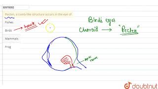 Pecten a comblike structure occurs in the eye of [upl. by Anirres224]