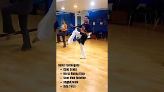 Bellydance Tutorial  Saidi Style Techniques  Arun Bhardwaj Choreography bellydance tutorial [upl. by Repmek]