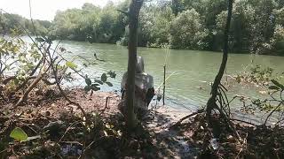 BARA ARDABILI LIVE STREAMING FISHING [upl. by Helfand]