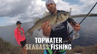 Topwater Seabass Fishing [upl. by Ikim]