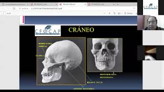 CURSO TALLER  EN CIENCIAS FORENSE IDENTIFICACIÓN A TRAVÉS DE LA ANTROPOLOGÍA FORENSE [upl. by Anircam]