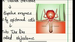 Scrub Typhus Risk factors clinical features diagnosis treatment amp prevention [upl. by Mackay955]