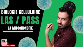 La MITOCHONDRIE  🧫 Ne tarrache plus les CHEVEUX avec ce cours  Je te donne lessentiel [upl. by Ttevy]