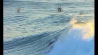 Bodyboard quot DK quot XIKEN Productions feat Portuguese billabong rider [upl. by Auqenwahs]