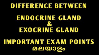 ENDOCRINE GLAND amp EXOCRINE GLANDS DIFFERENCES EXPLAINED IN MALAYALAM FOR ALL NURSING EXAMS [upl. by Lotsirhc473]